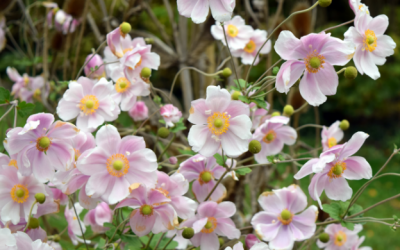 Frühling – Zeit zum Aufräumen.