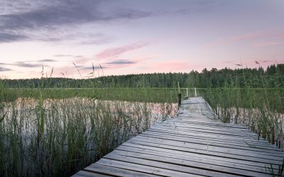 Der falsche Weg zum richtigen Ort