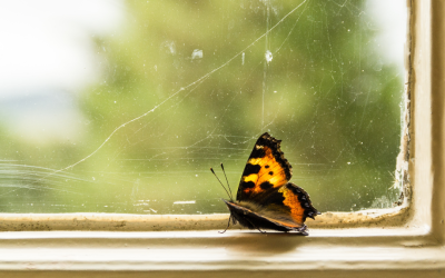 8 Wege in die Stressfalle