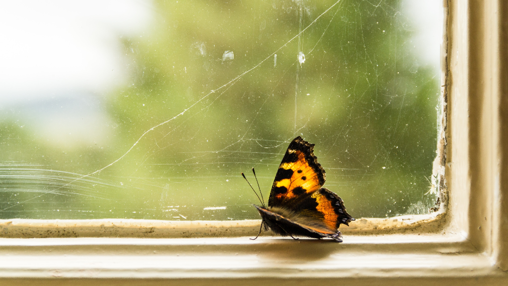 8 Wege in die Stressfalle